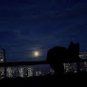 Meet your Posher, Anya